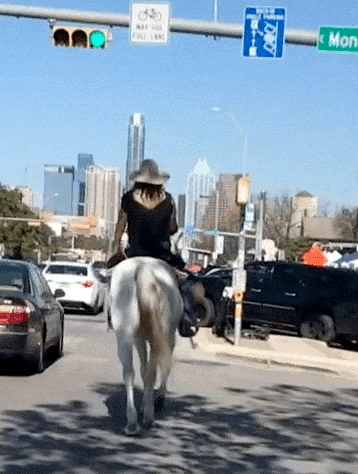 Walking down South Congress from E. Live Oak St., a few blocks away from the house.