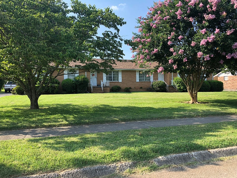 Large front yard