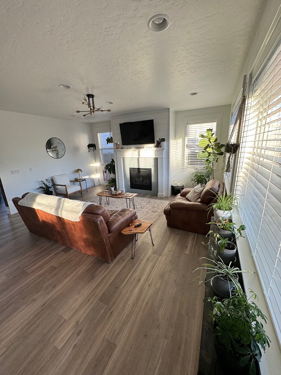 peaceful and bright living room