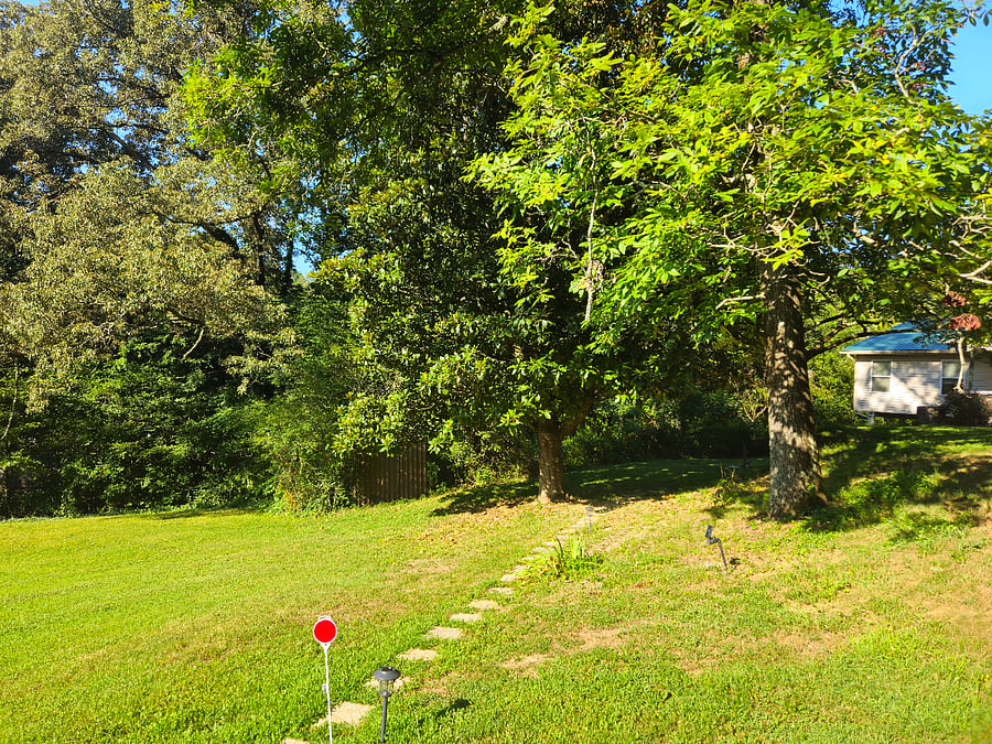 Furnished Finder property 828431_1 photo 4