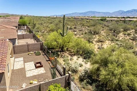 Drone view of the back and native, before I started re-planting ...  One of the largest saguaro's in the native I have scene in Dove Mtn.