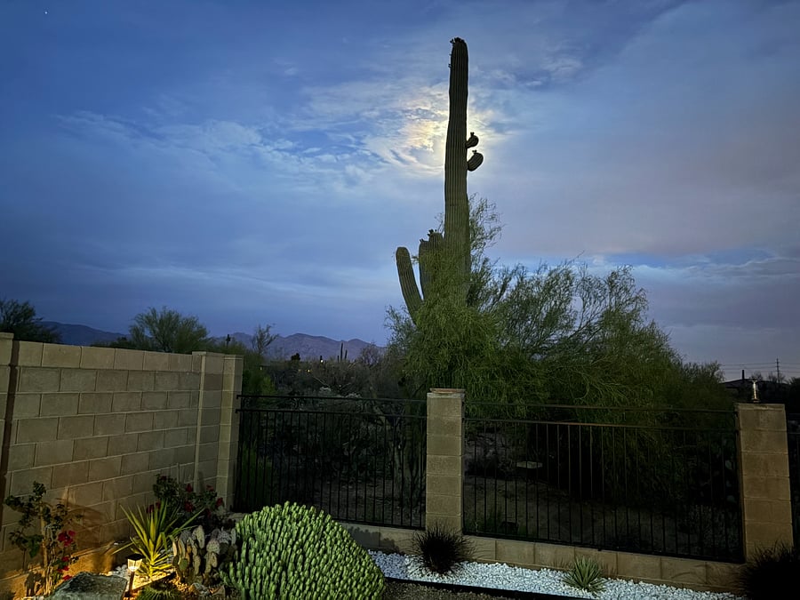 Furnished Finder property 828526_1 photo 23