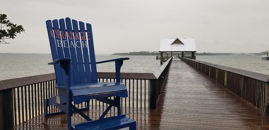 OB Public Pier. Walk, drive, or swim to the park!