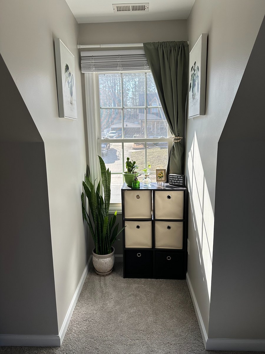 Plants and storage