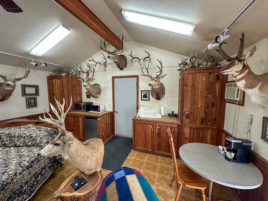 Furnished Finder property 828654_1 photo 16