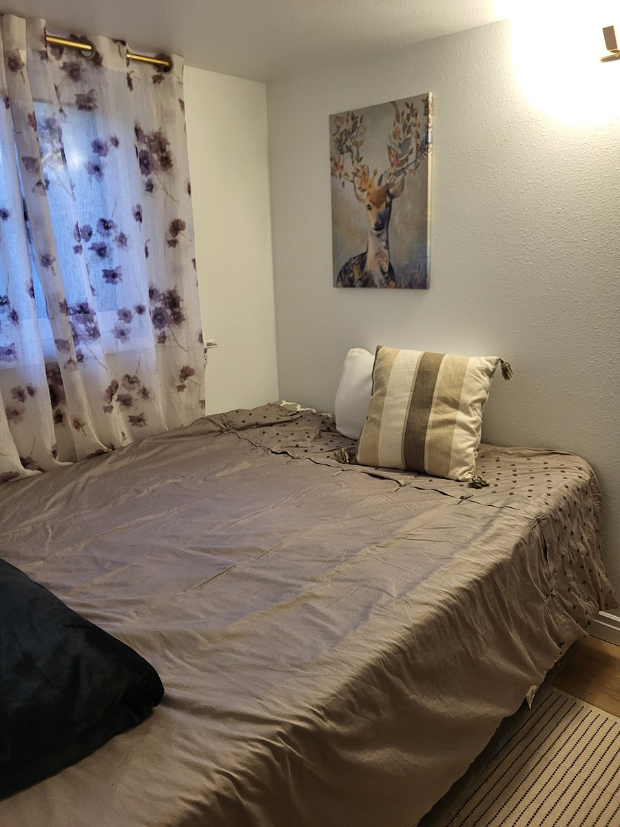 The second room with the inflatable queen bed. Pictures of Murphy bed coming soon.