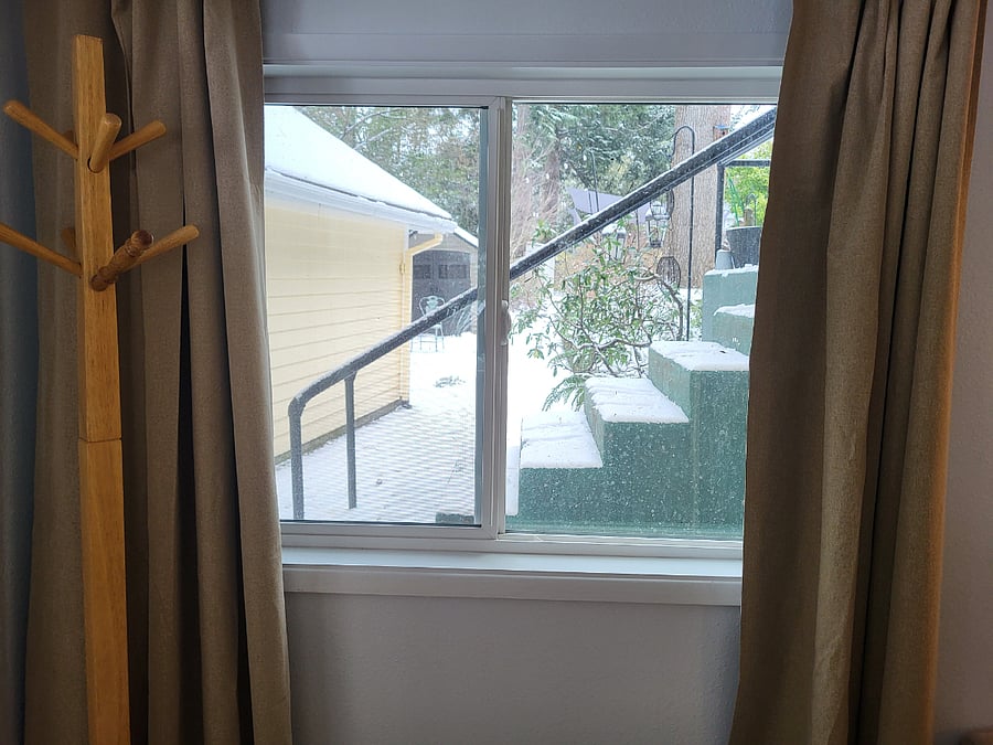 The living room looks out to the fully fenced back yard. You have a view of the water feature for birds from here - great for birdwatching.
