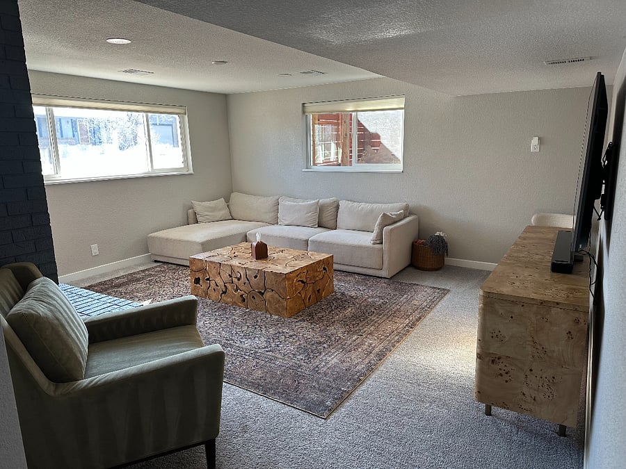 Basement Living Room