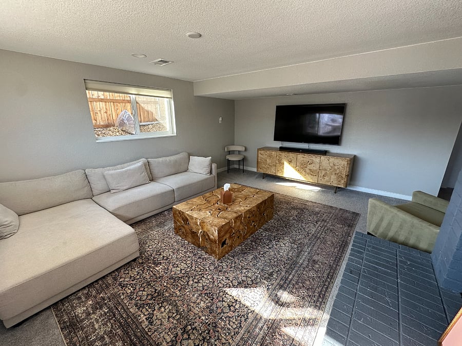 Basement Living Room