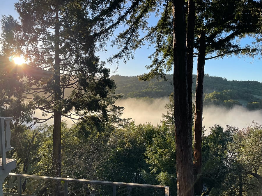 Pictured from lower patio - fog on the river in the morning.