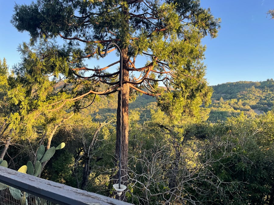 View over Russian River from lower patio.