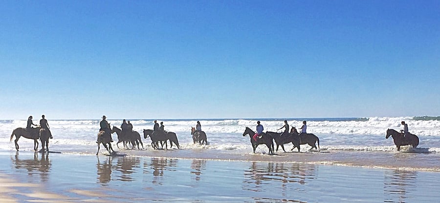 Horse Back Riding On The Beach Just Steps Away