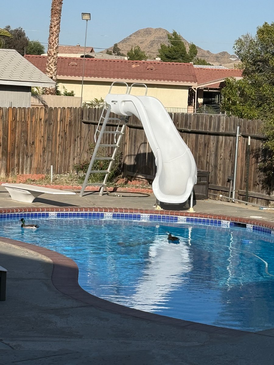 Furnished Finder property 828880_2 photo 14