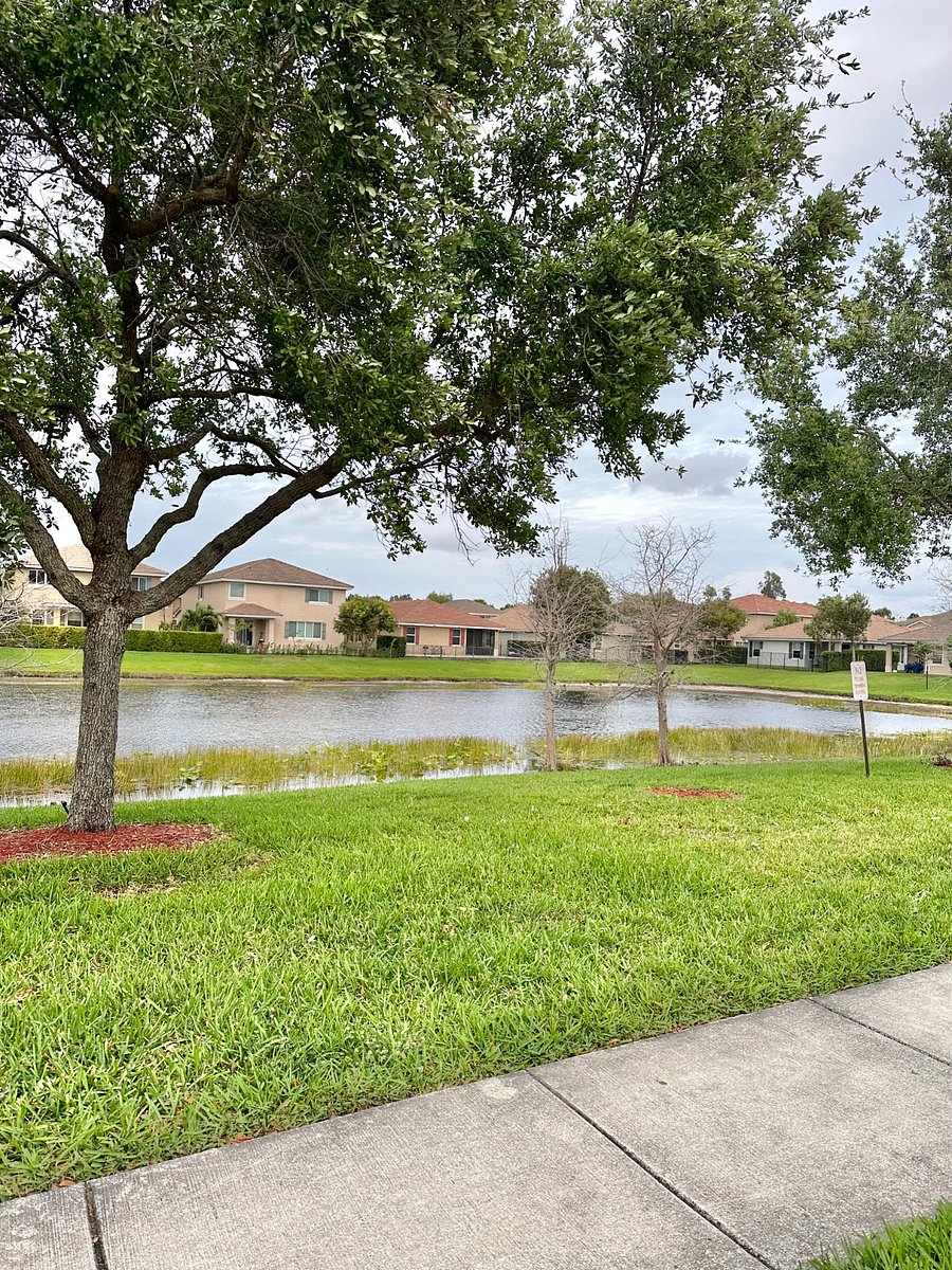 Furnished Finder property 828884_1 photo 3