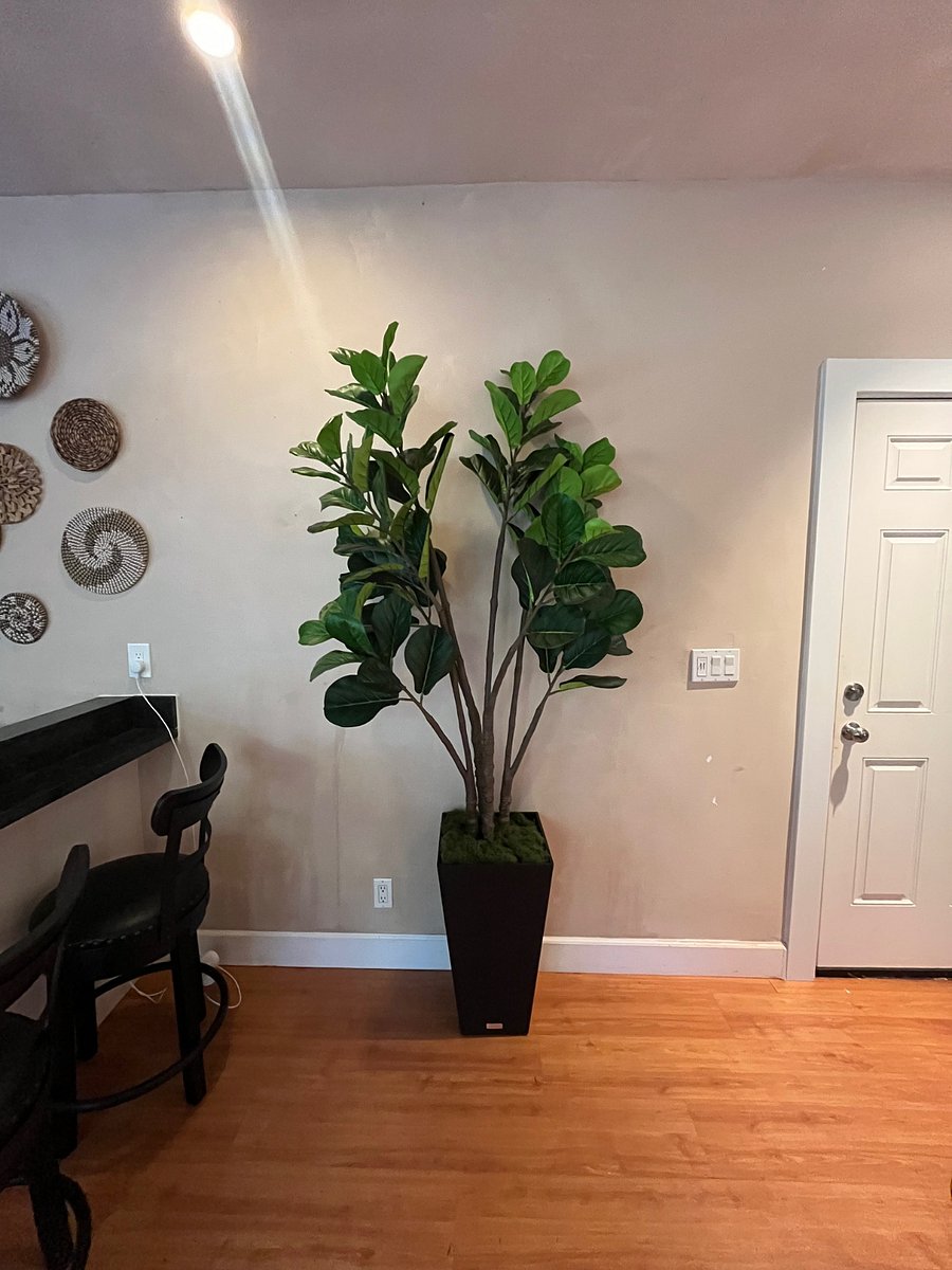 Furnished Finder property 828945_1 photo 9