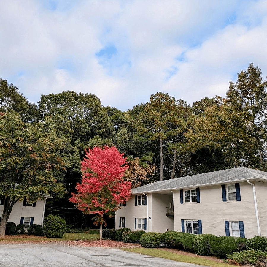Furnished Finder property 829168_1 photo 16