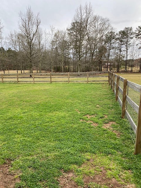 Fenced yard