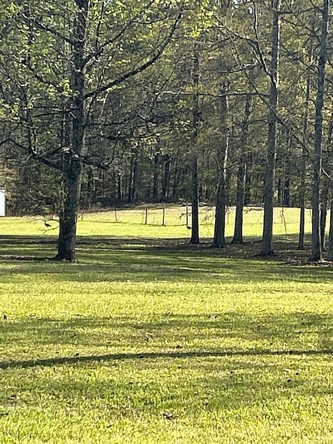 Beautiful views - see the deer?