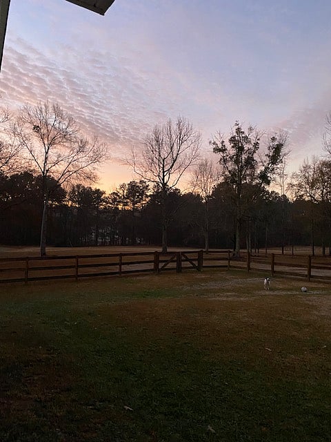 Gorgeous sunsets