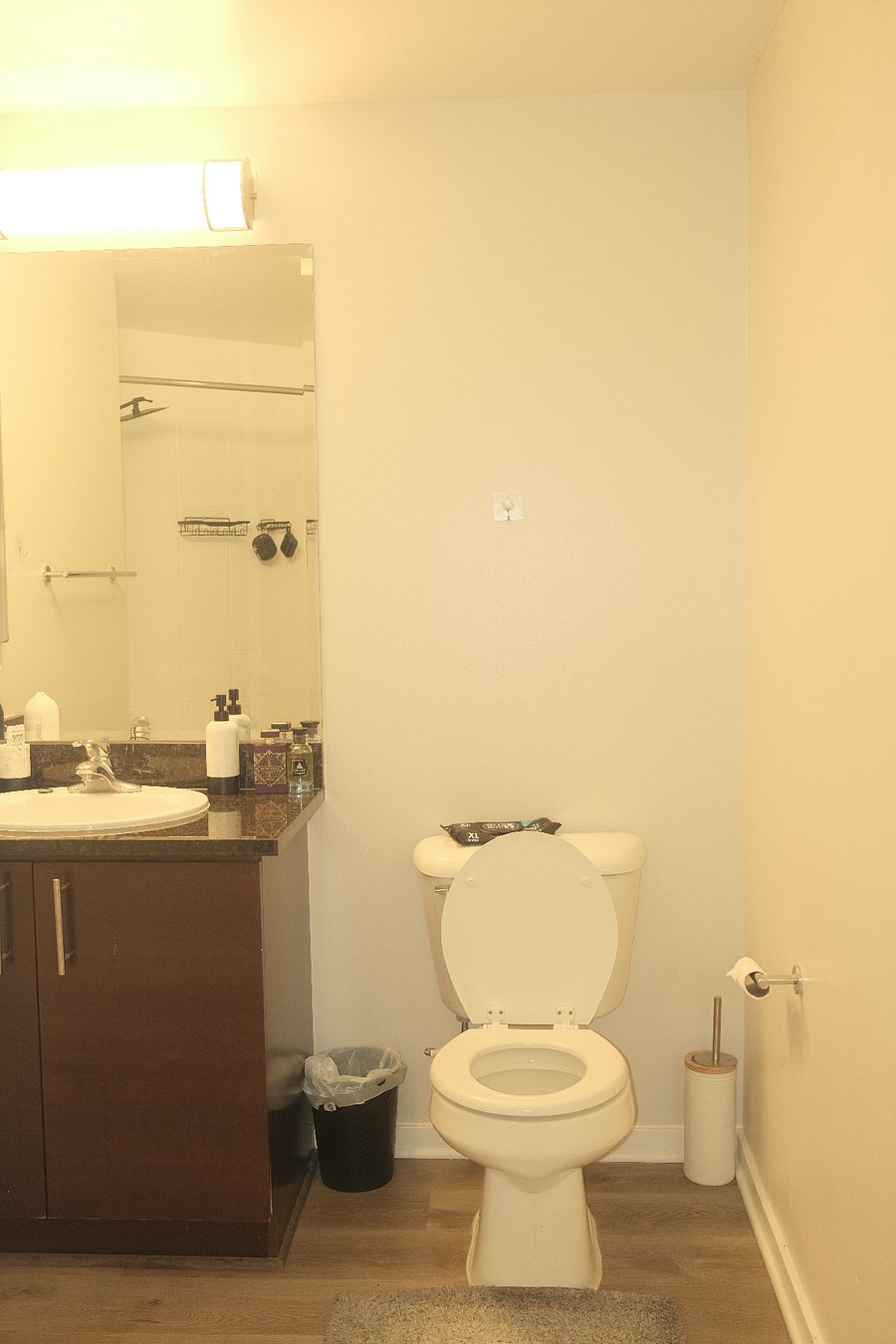 main bathroom (sink and toilet view) with shower