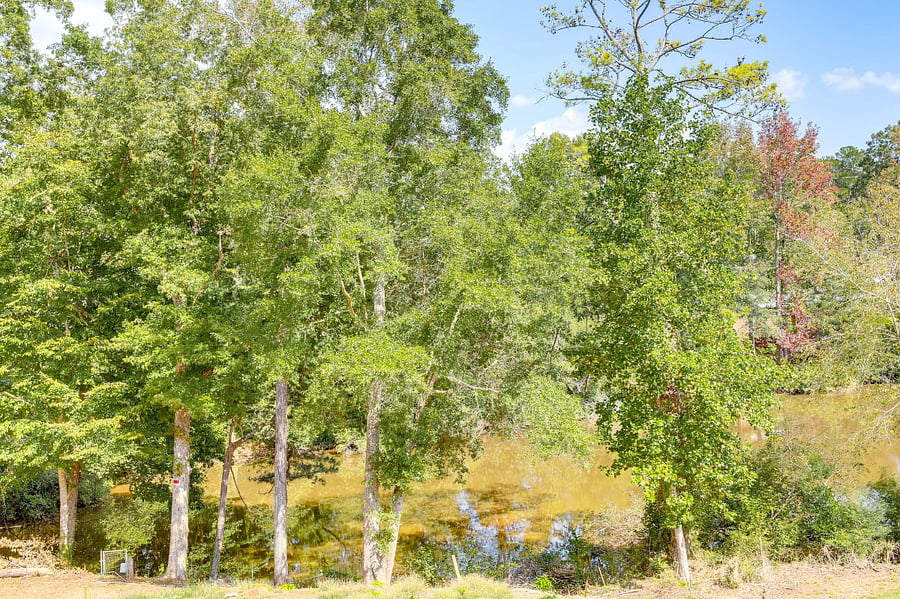 Furnished Finder property 829411_2 photo 10
