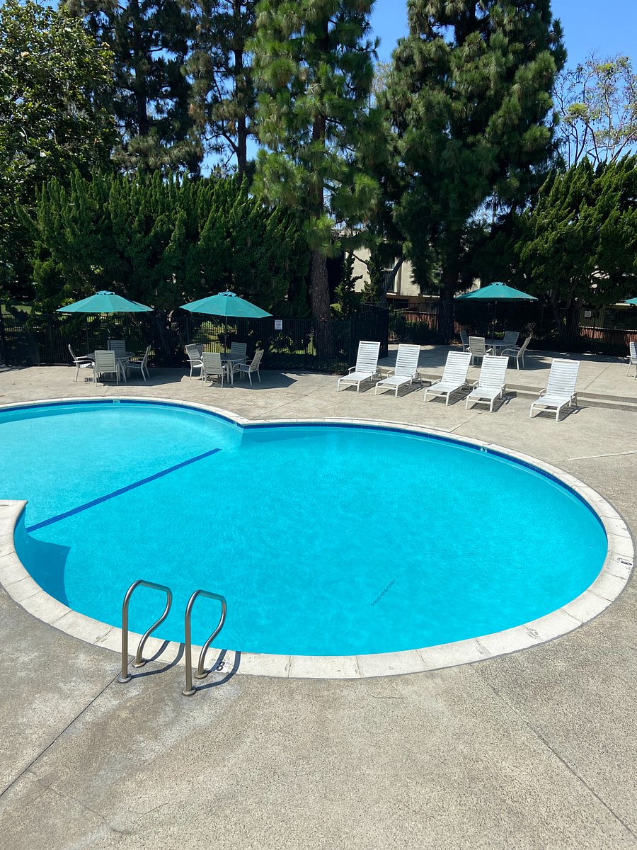 Furnished Finder property 830234_1 photo 10