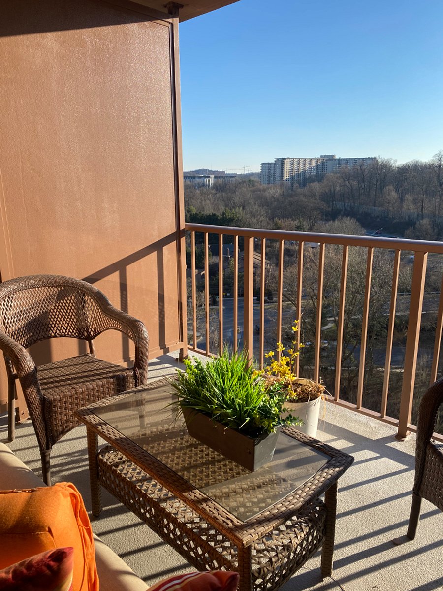 Furnished Finder property 830269_1 photo 15