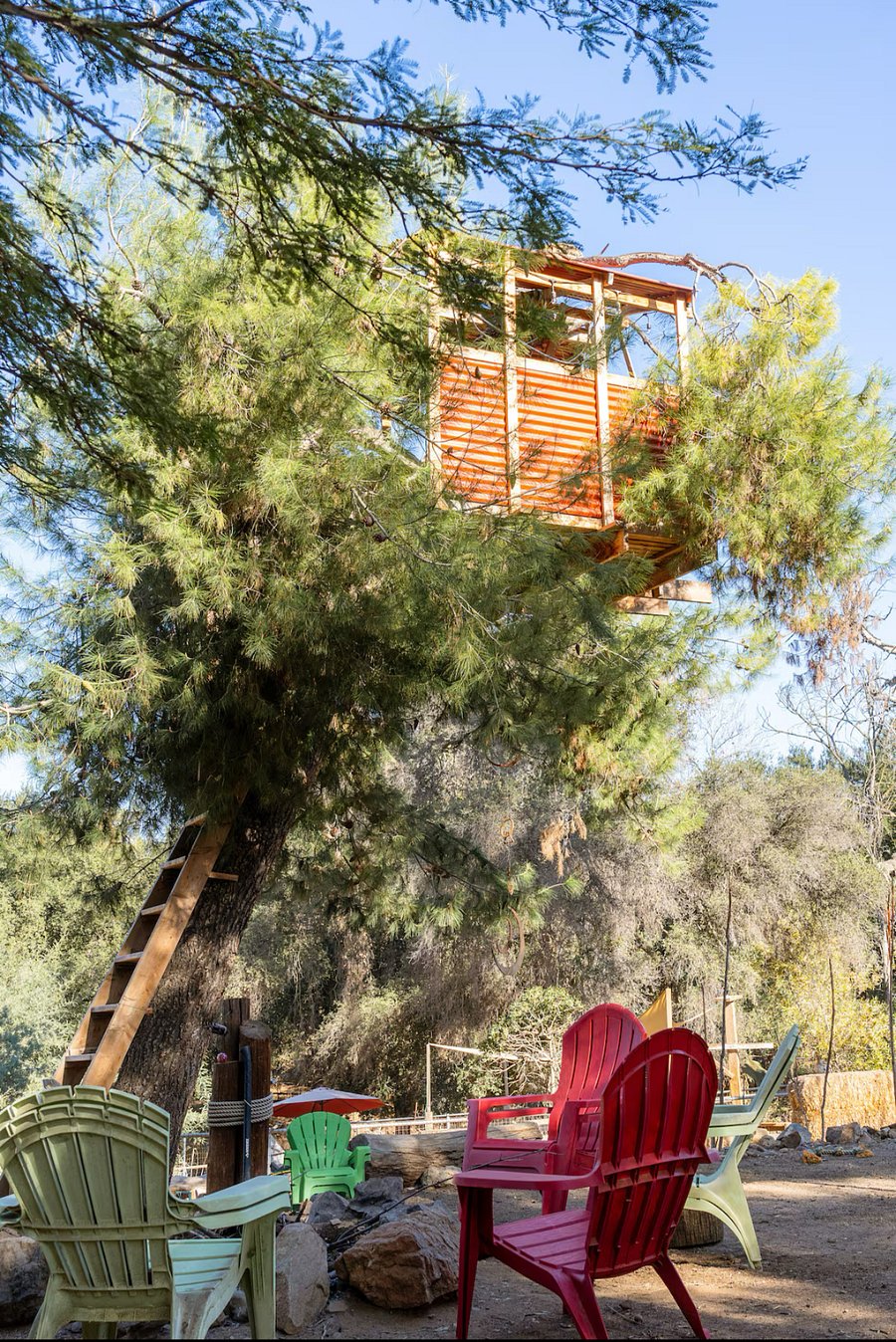 Tree house