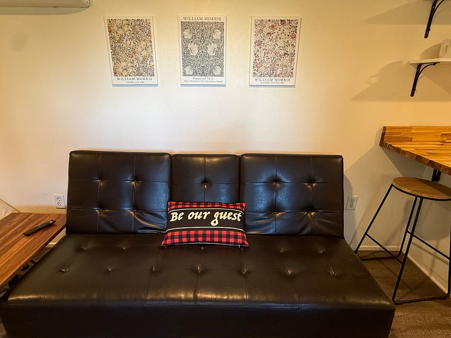 Futon for extra guest