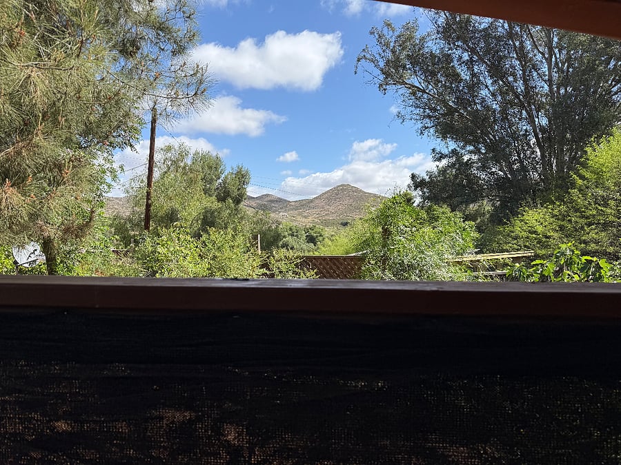 View from patio