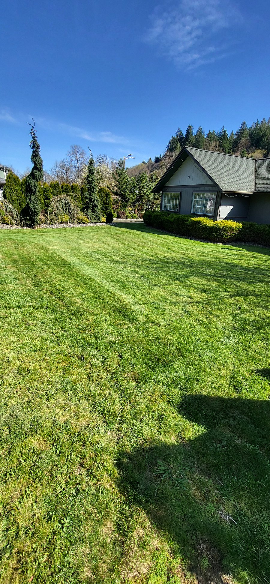 Front Yard