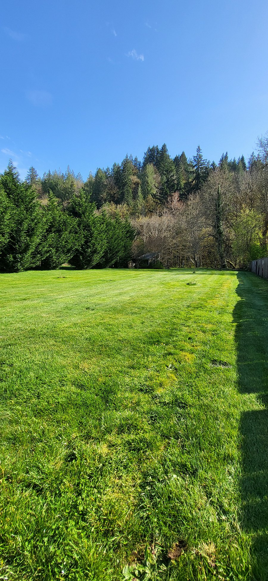Accessible Backyard with creek below