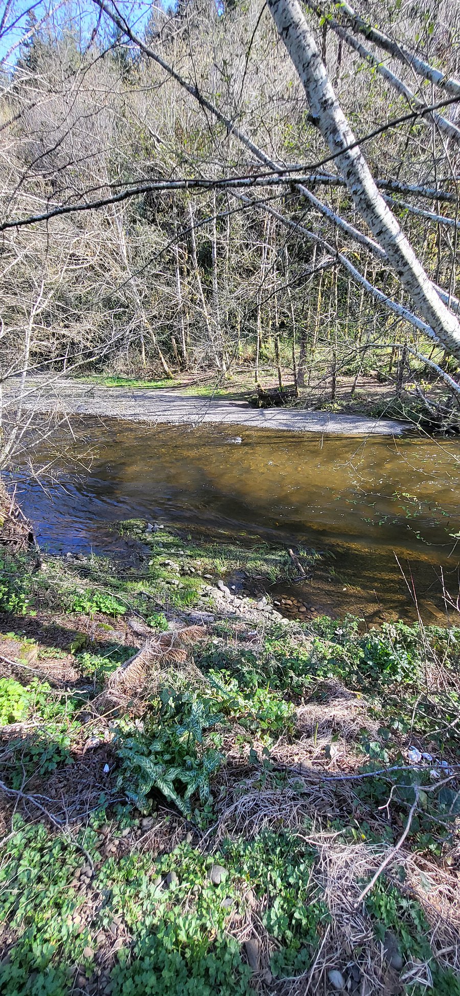 Creek