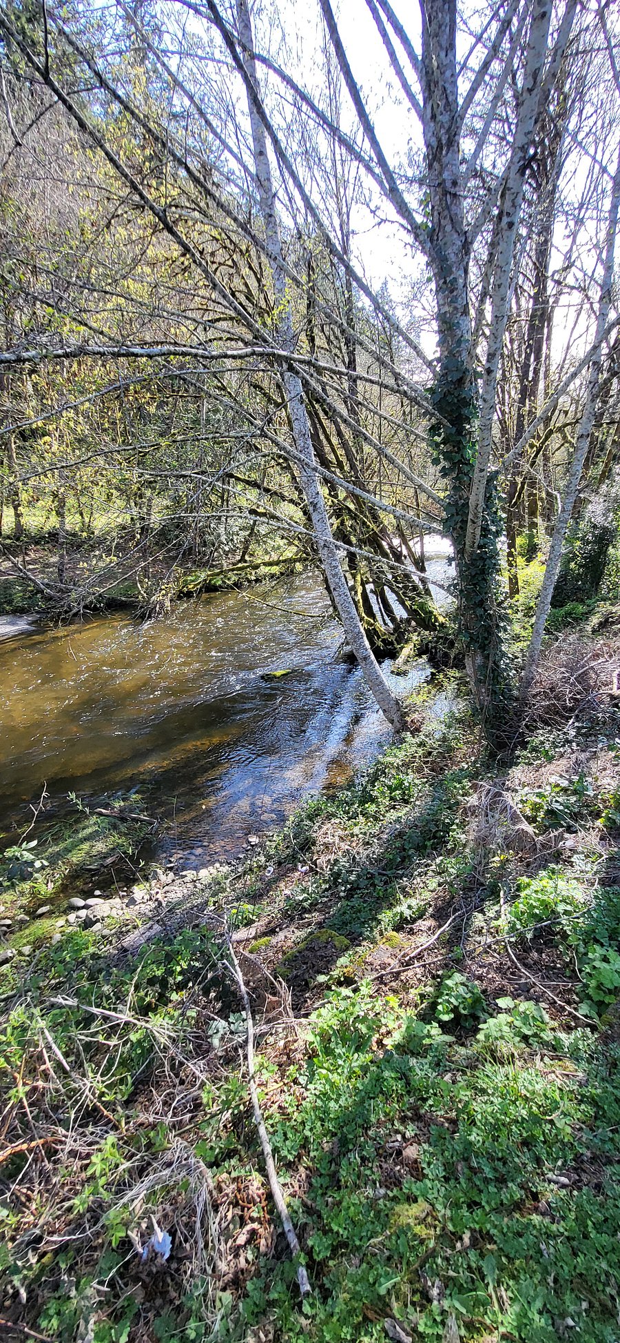 Creek