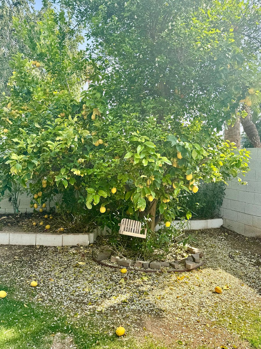 Furnished Finder property 830358_1 photo 13