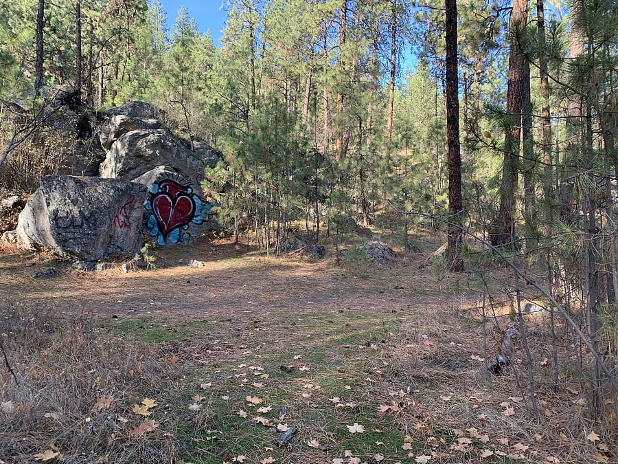 John Shields Park
Biking, Hiking, Rock climbing
0.2miles from house