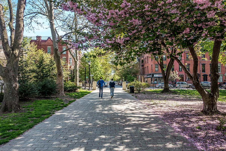 Few short blocks to Hamilton Park