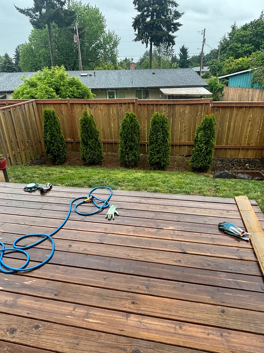 Backyard