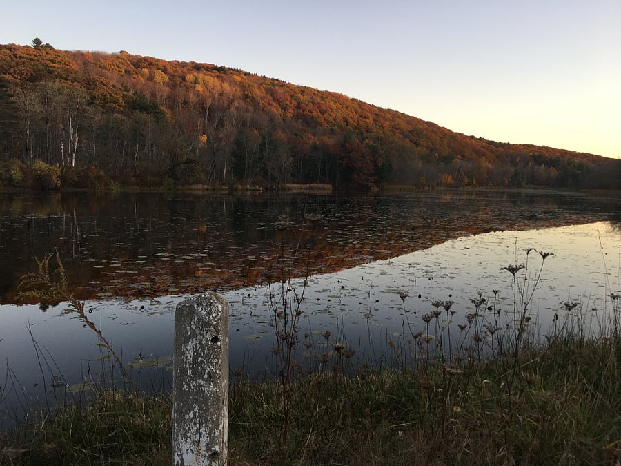 Views of the pond across the street