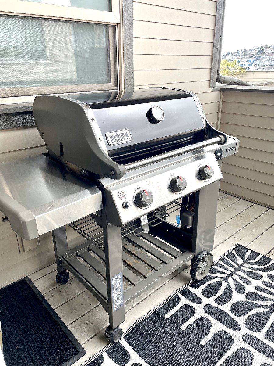 Weber Genesis II