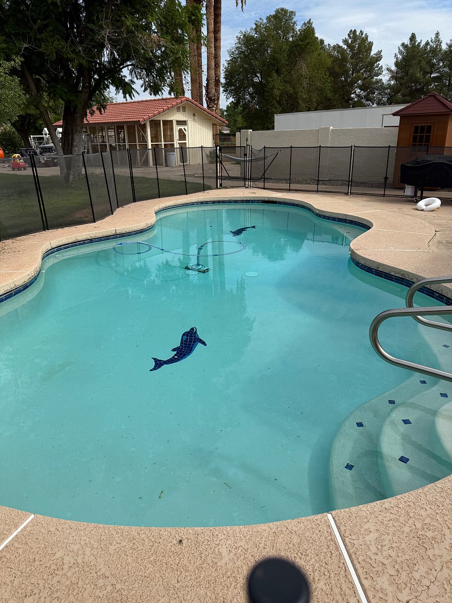 Shared pool w studio and property owners in the backyard 