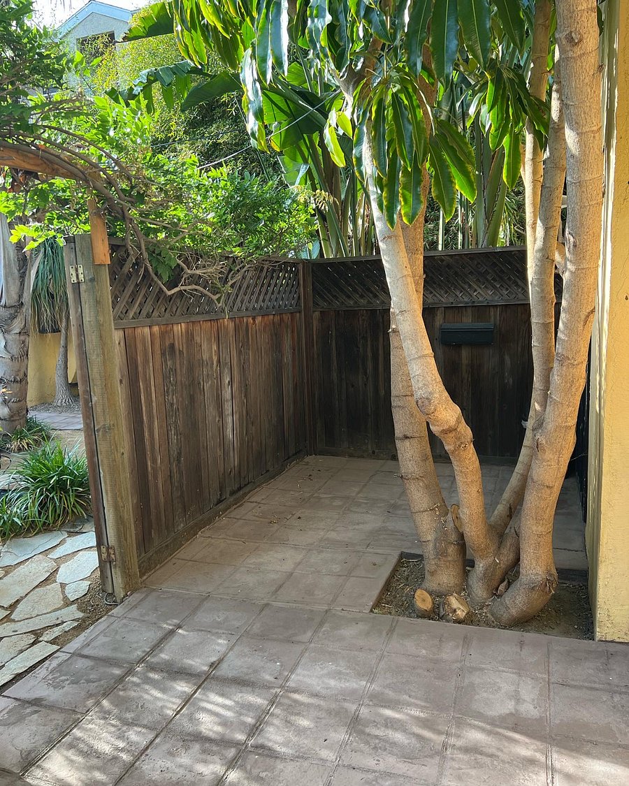 Furnished Finder property 831350_1 photo 19