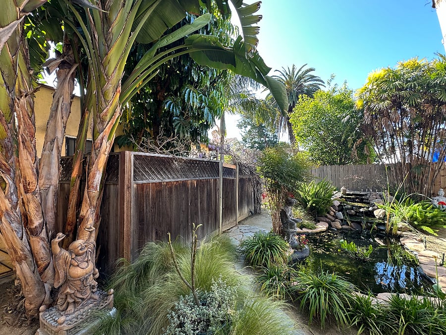 Koi pond on the other side of your patio fence so you can hear the waterfall!
