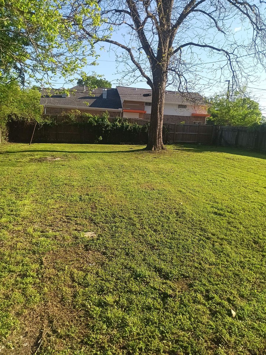 Or take a stroll in the backyard and enjoy