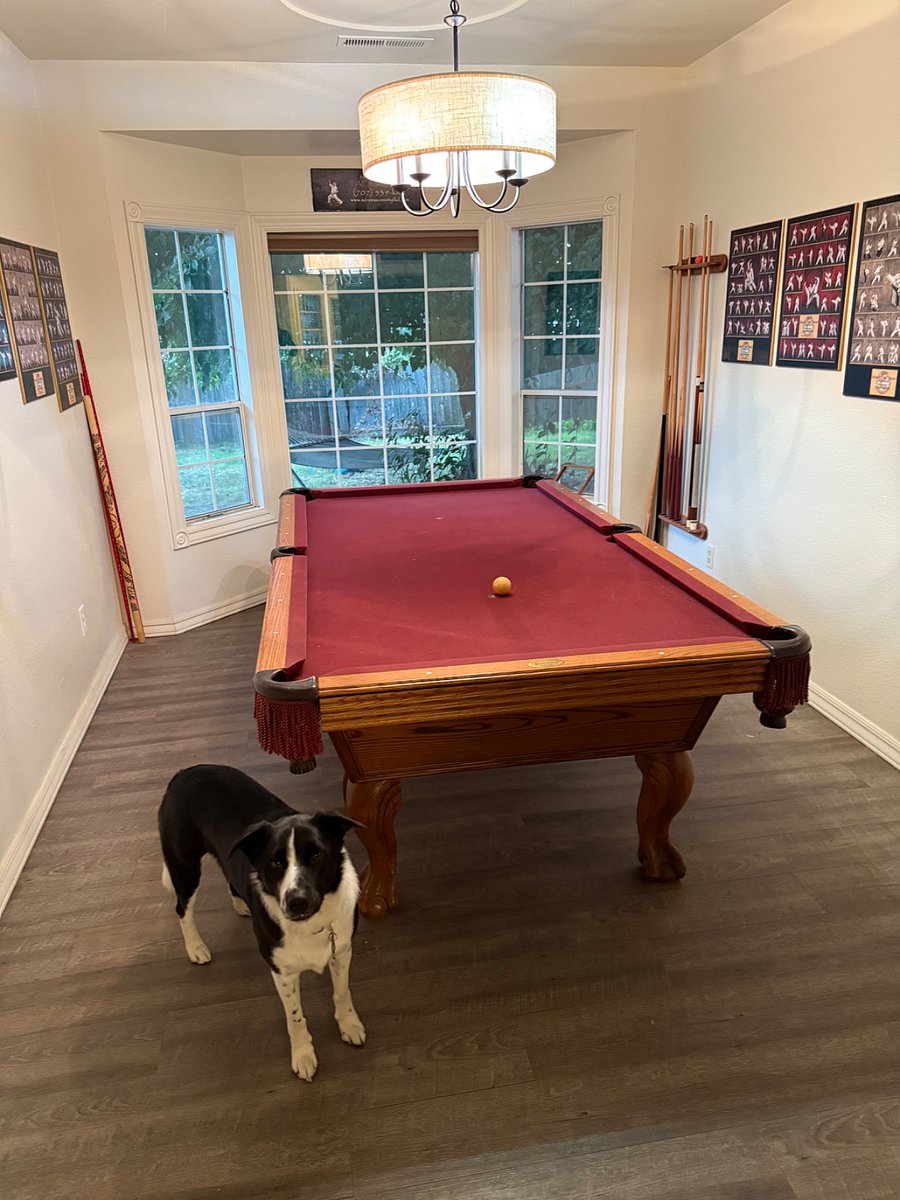 Furnished Finder property 831672_1 photo 7