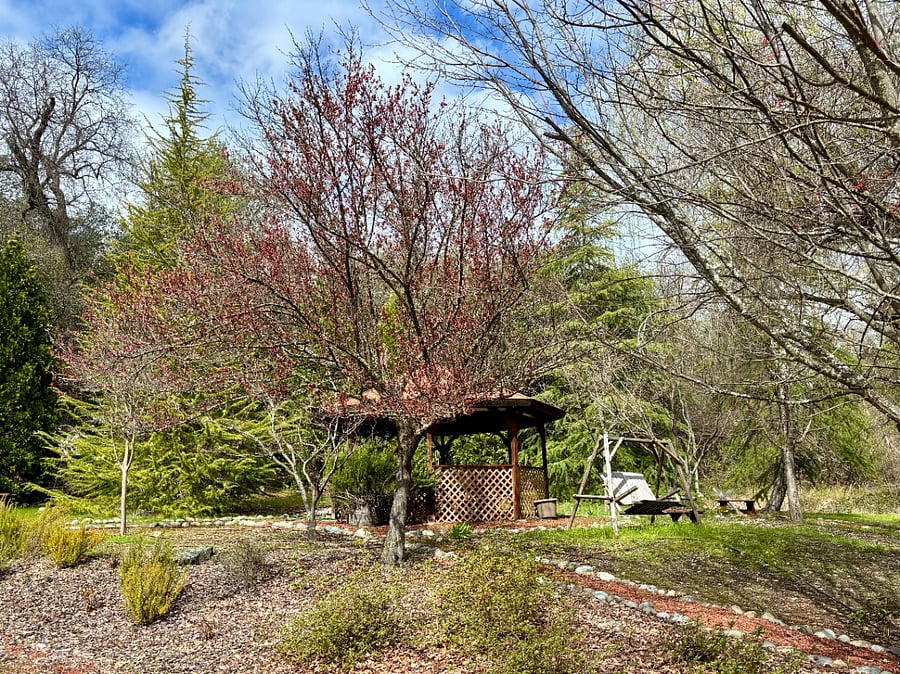 Furnished Finder property 831964_1 photo 12