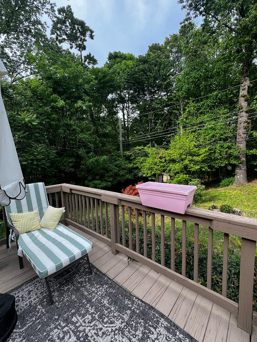 Furnished Finder property 832045_2 photo 7