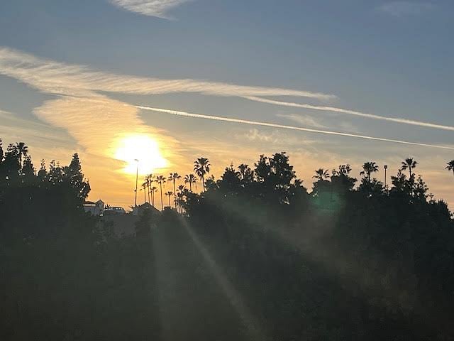 view from roofroof