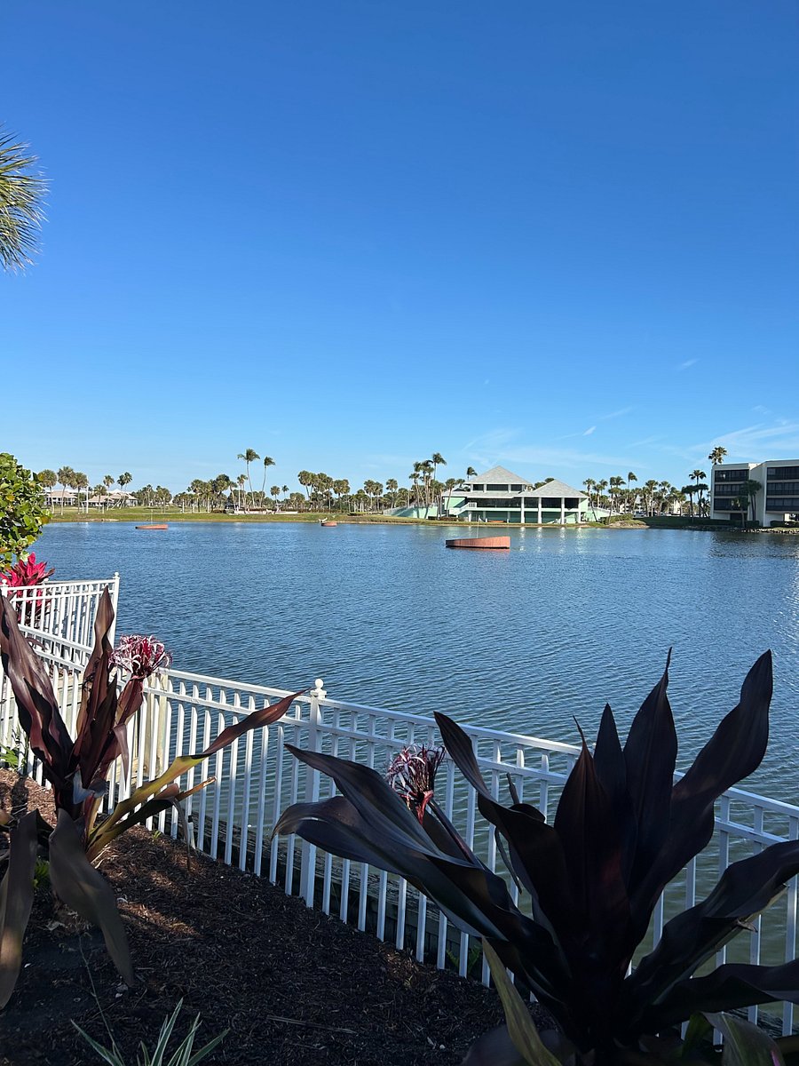Furnished Finder property 832184_1 photo 26