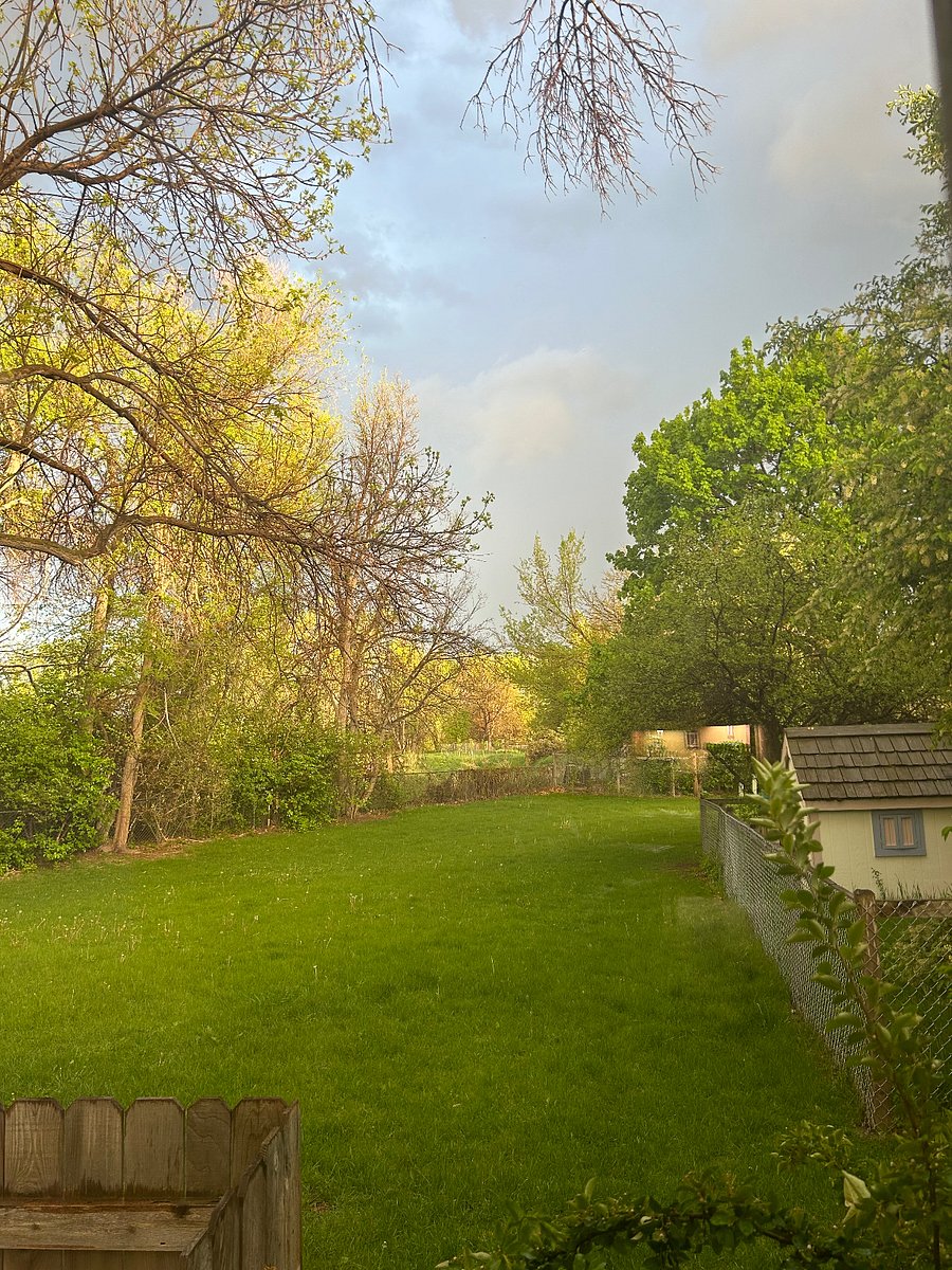 View from dining area bay window onto green space.